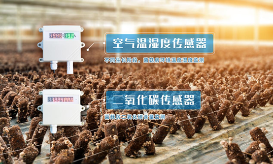 菌菇智能養殖監控系統設備 菌菇智能養殖監控系統設備