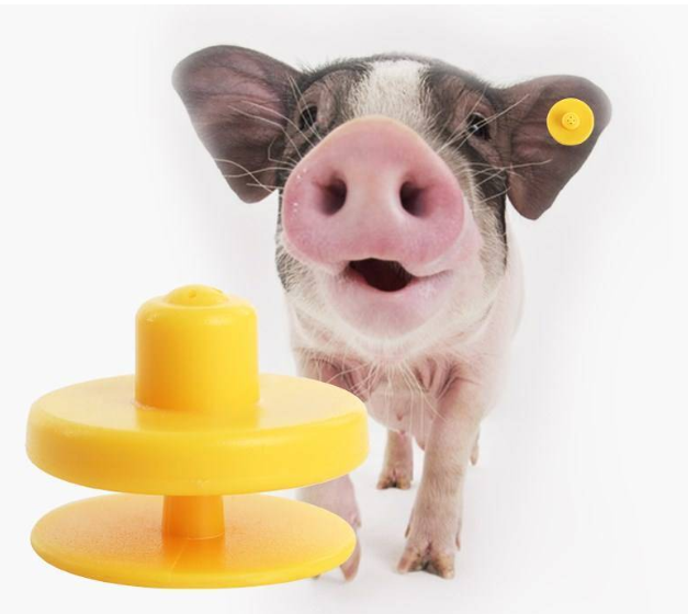 禽畜單體監測 禽畜單體監測