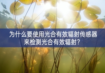 為什么要使用光合有效輻射傳感器來檢測光合有效輻射？
