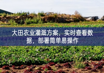 「智慧農業」大田農業灌溉方案，實時查看數據，部署簡單易操作