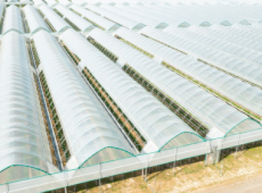 薄膜連棟溫室大棚監控系統